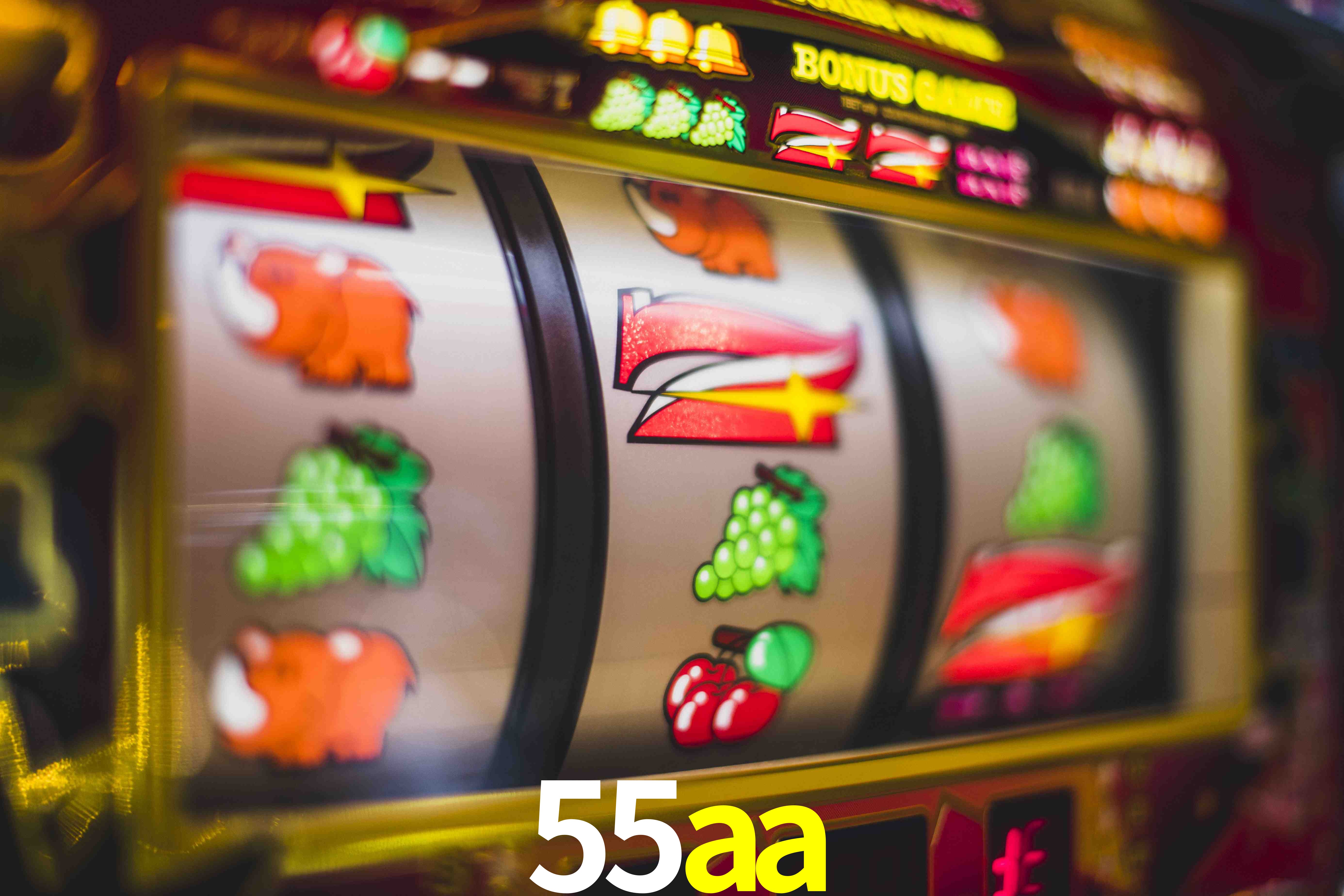 VIP Casino 55aa